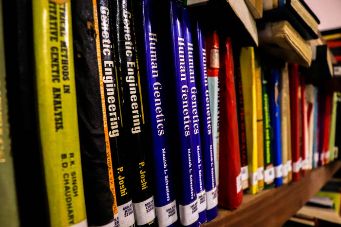 library